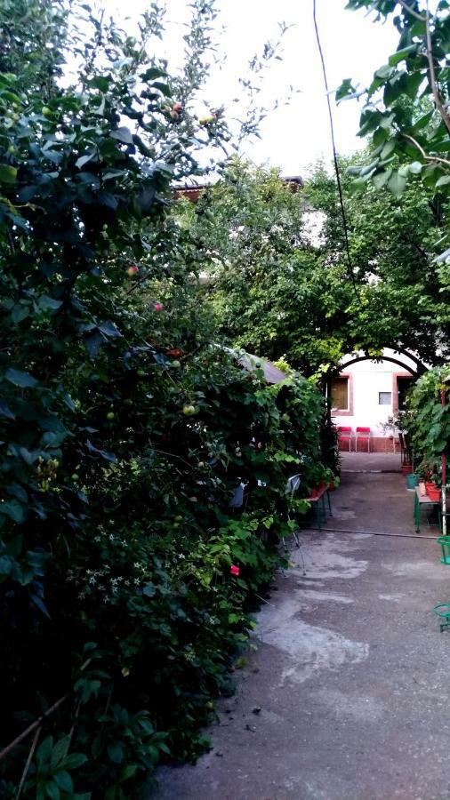 Casa Din Gradina Villa Eforie Sud  Luaran gambar